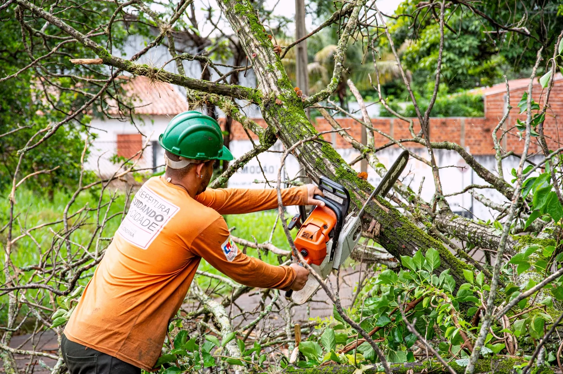 Forest Mulching & Brush Clearing in Mobile, AL